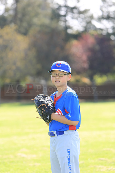 AACubs073