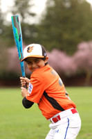 AAAOrioles009