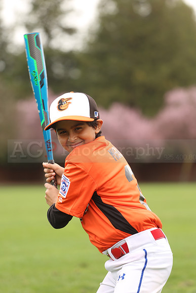 AAAOrioles009