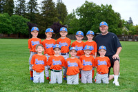 T-BALL BULLS