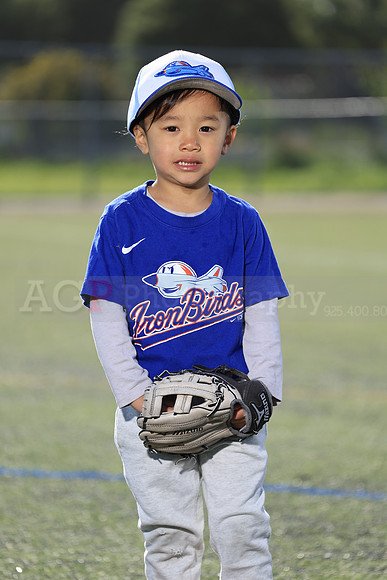 SB_TB_IronBirds038
