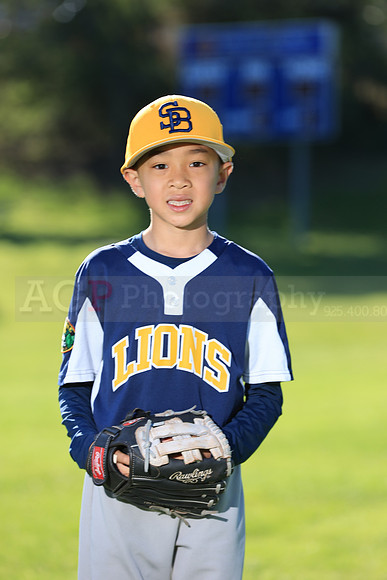 PWLions00136