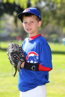 AAACubs008