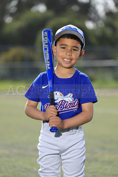 SB_TB_IronBirds044