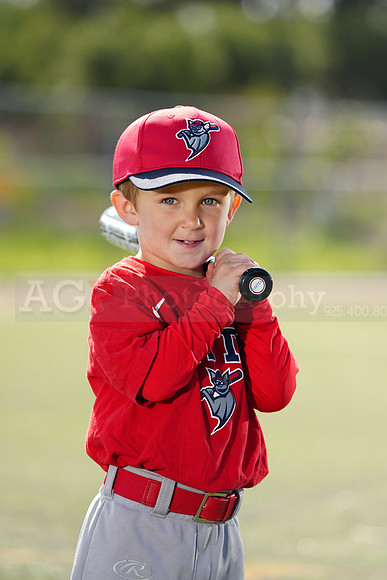 SB_TBALL_BATS131