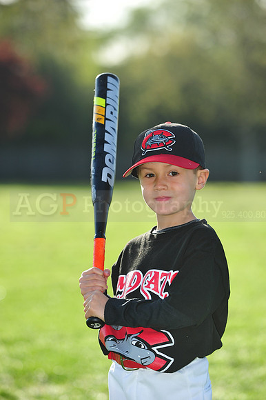 TBMudcats042