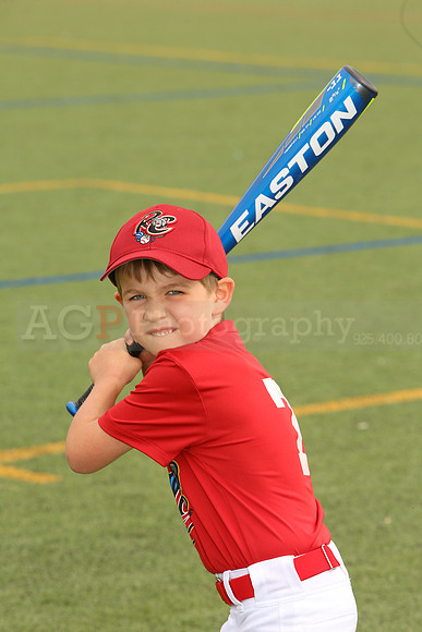 SB_TB_Ironpigs00054