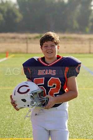 Bears00066