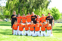 MGiants008