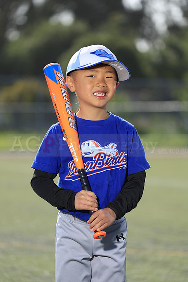 SB_TB_IronBirds033