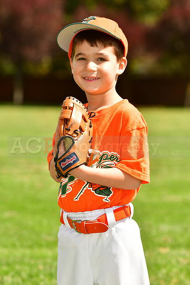FMGrasshoppers037