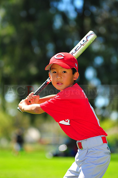 A_Reds085