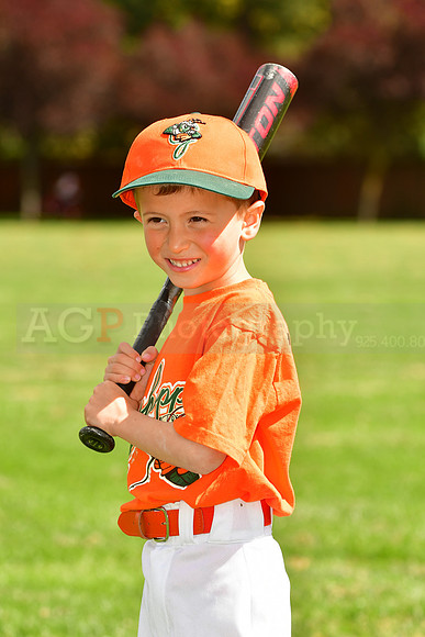 FMGrasshoppers027