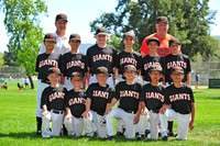 AAA GIANTS
