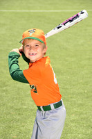 SB_TB_Grasshoppers00004