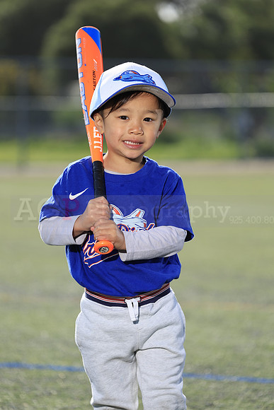 SB_TB_IronBirds039