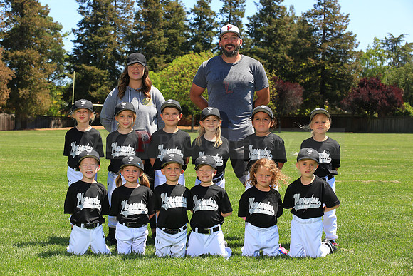 PLL_TB_Lugnuts00105