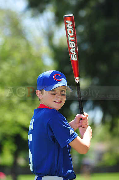 Major_Cubs017