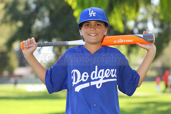 MajorDodgers033