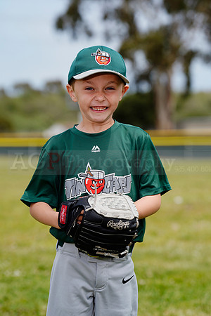TBTinCaps00036
