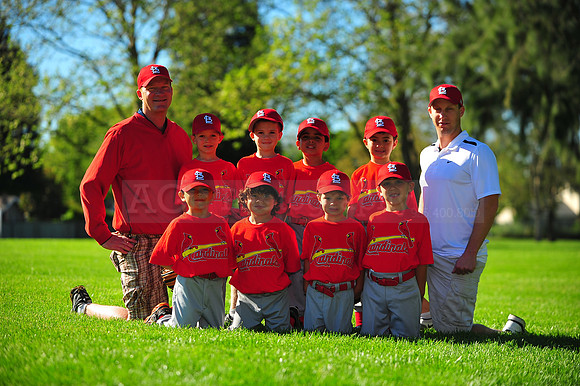 TBall_Cardinals071
