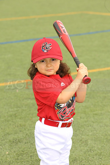 SB_TB_Ironpigs00043
