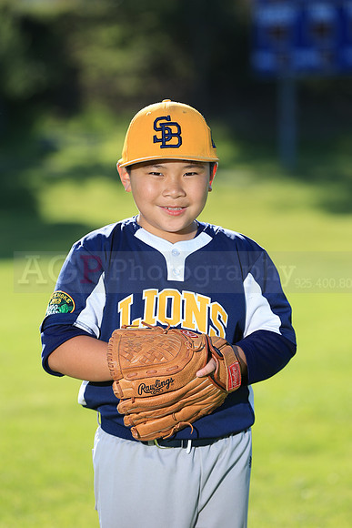 PWLions00090