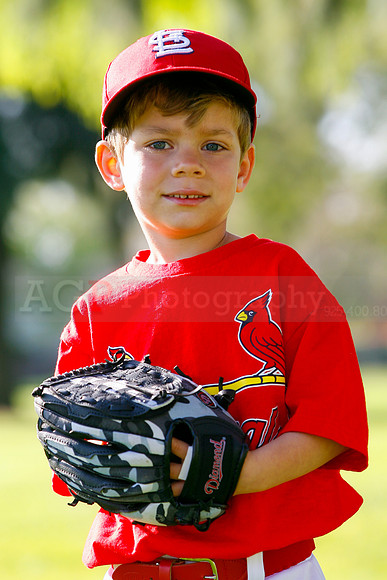 TBCards033