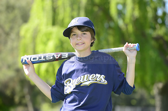 AAABrewers022