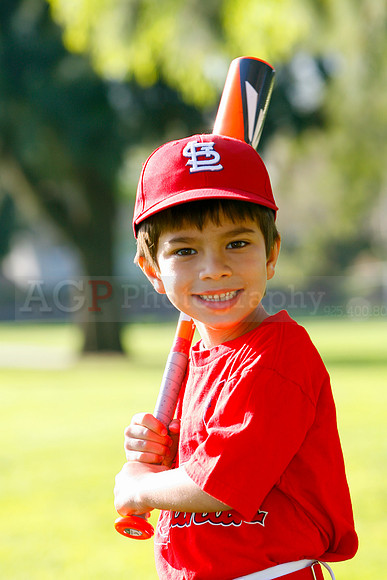 TBCards029