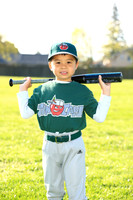 TBTinCaps016