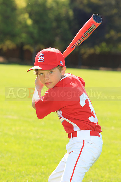 PLL_AAA_Cardinals00025