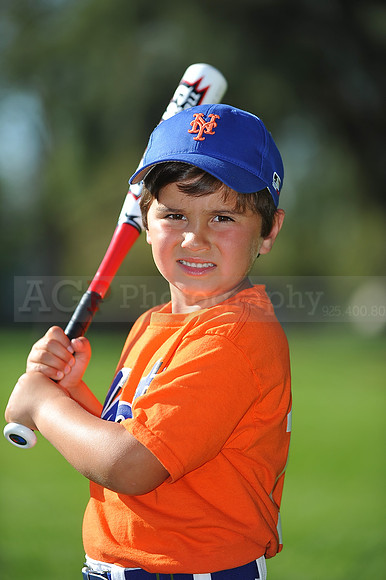 TBall_Mets061