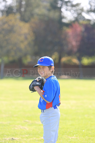 AACubs038