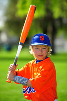 AA METS015