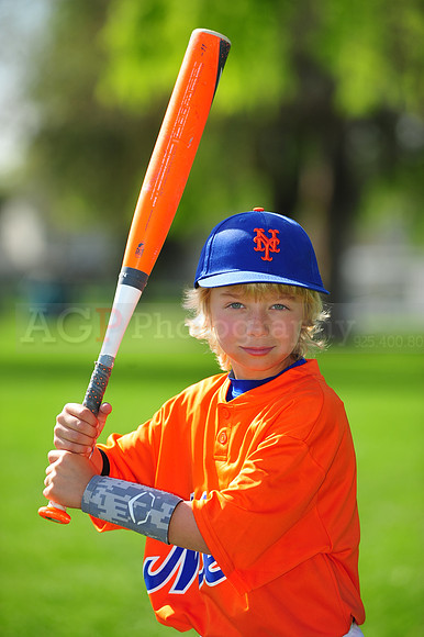 AA METS015