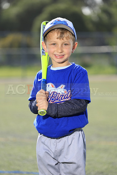 SB_TB_IronBirds005