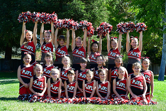 Cheer176
