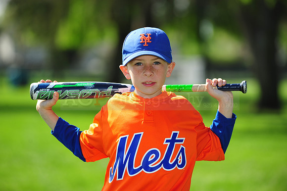 AA METS041