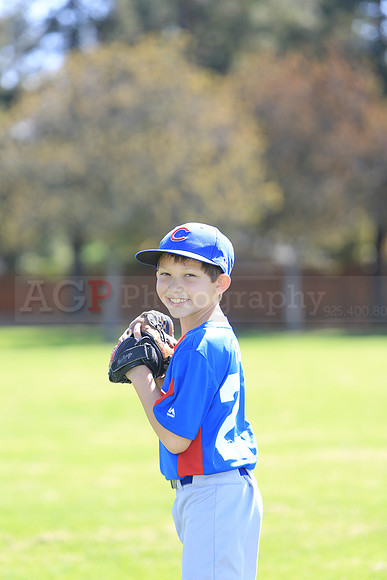 AAACubs008