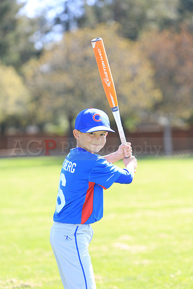 AAACubs021