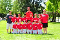 AA REDS