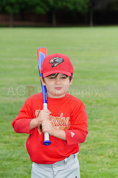 PLL_TBall_Grizzlies00076