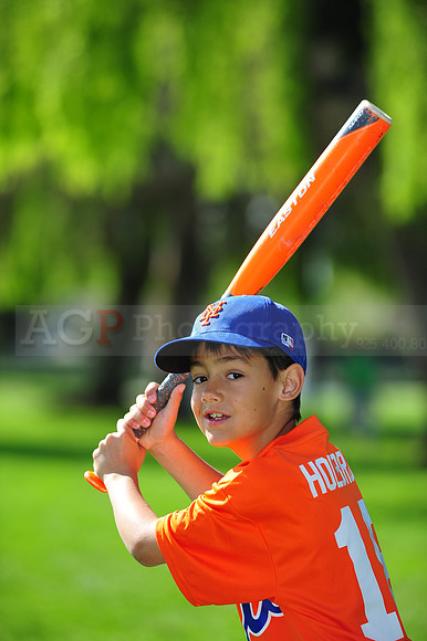 AA METS031