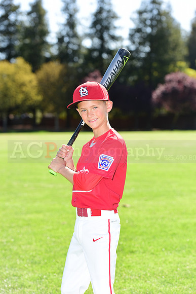 MCardinals0023