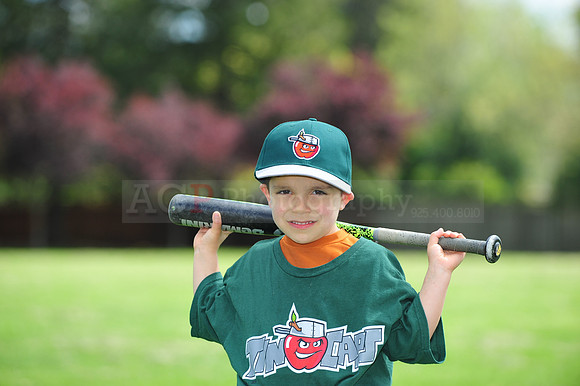 FmTinCaps025