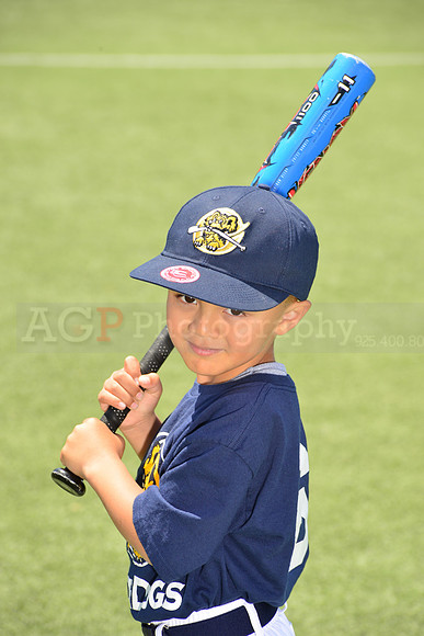 SB_TB_Riverdogs00004