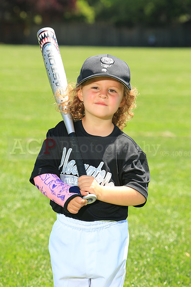 PLL_TB_Lugnuts00090