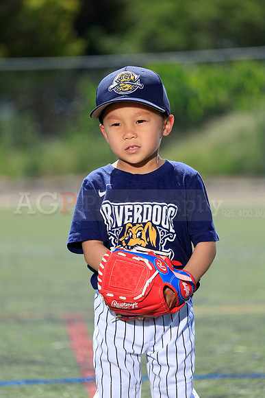 SB_TB_Riverdogs61