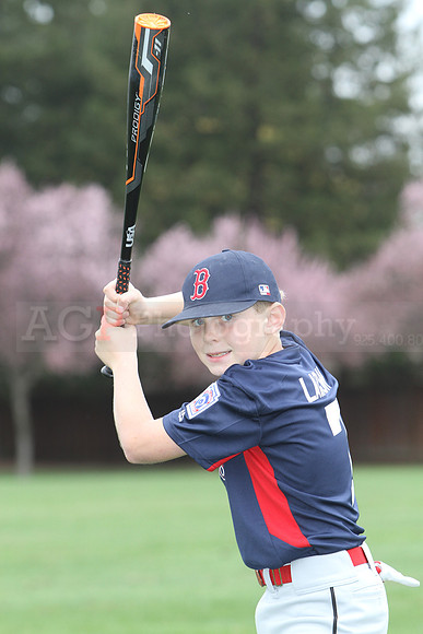 AAARedsox068
